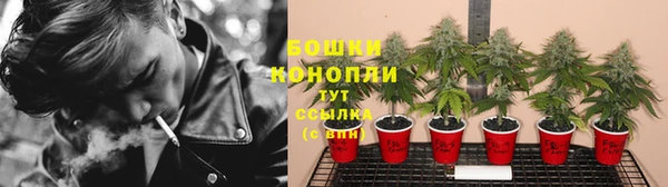 мяу мяу мука Беломорск