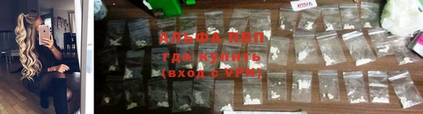 мяу мяу мука Беломорск