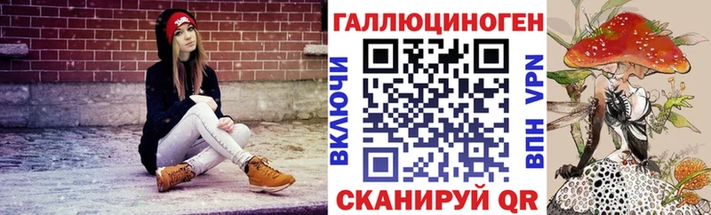 blacksprut ONION Гудермес Псилоцибиновые грибы мицелий закладки