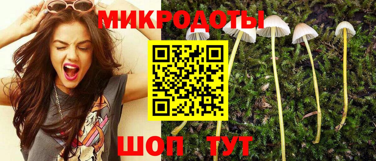 Гудермес  Галлюциногенные грибы Cubensis  Псилоцибиновые грибы Magic Shrooms  Вход с VPN 