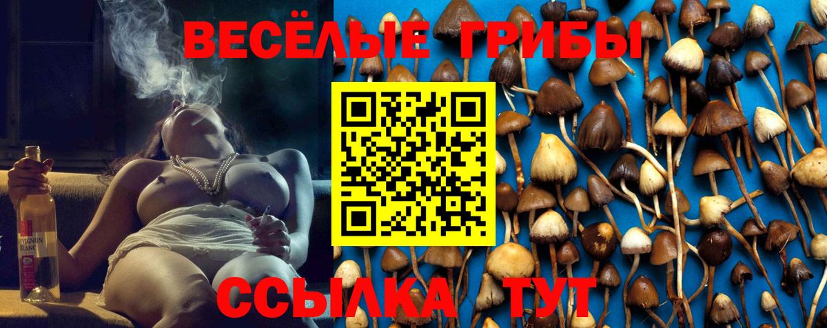 Галлюциногенные грибы GOLDEN TEACHER Гудермес